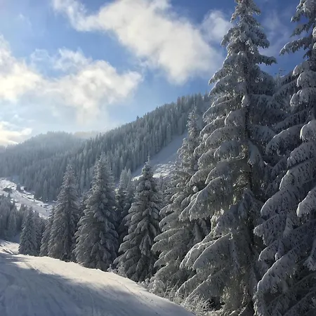Haus Felder - Garfrescha *